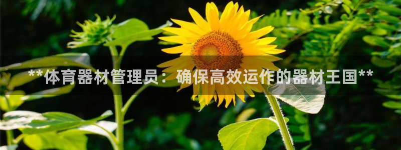 星欧娱乐官网：**体育器材管理员：确保高效运作的器材