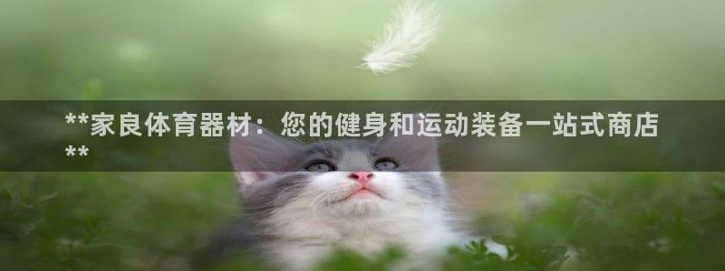 星欧娱乐属于什么档次的公司名称：**家良体育器材：您