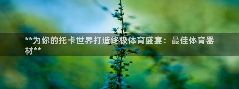 星欧娱乐最建议买的三个产品是什么呢：**为你的托卡世