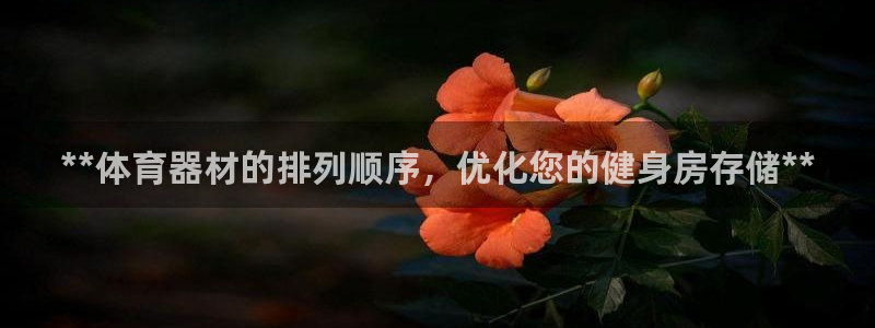 星欧娱乐扣款时间查询方法是什么样的：**体育器材的排