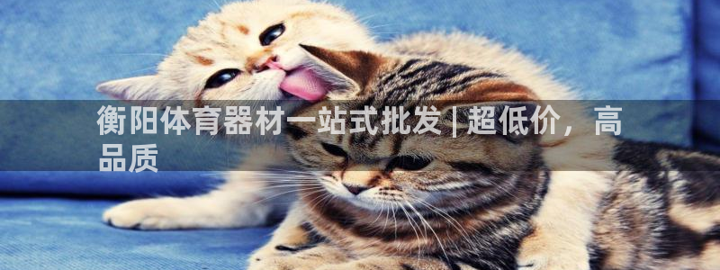 星欧娱乐公司电话号码：衡阳体育器材一站式批发 | 超