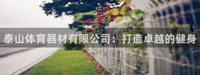星欧娱乐是正规平台吗安全吗可靠吗：泰山体育器材有限公