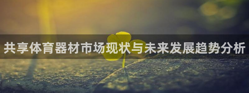 星欧娱乐还能玩吗：共享体育器材市场现状与未来发展趋势