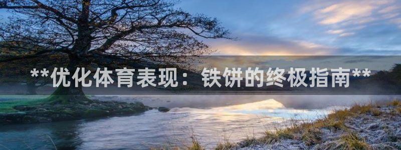 星欧娱乐联售后服务评价：**优化体育表现：铁饼的终极