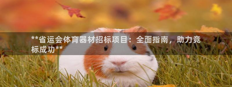 星欧娱乐平台告7O777：**省运会体育器材招标项目