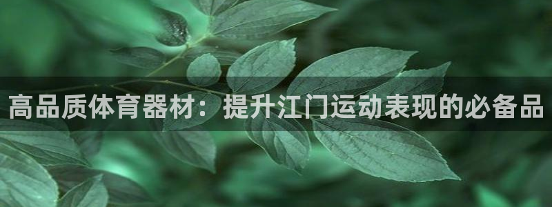 星欧娱乐平台怎么样知乎：高品质体育器材：提升江门运动