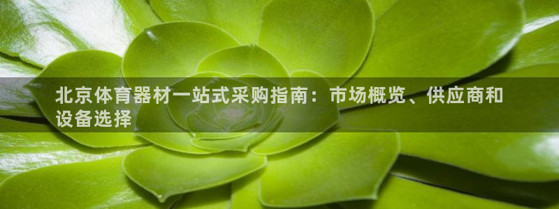 江苏星奥娱乐：北京体育器材一站式采购指南：市场概览、