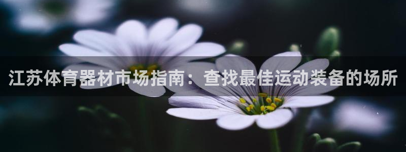 星欧娱乐法最新进展：江苏体育器材市场指南：查找最佳运