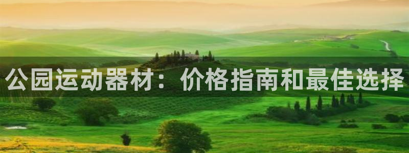 星奥娱乐旗下艺人：公园运动器材：价格指南和最佳选择