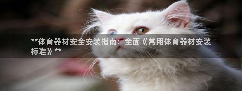 星欧娱乐的创始人背景故事介绍：**体育器材安全安装指