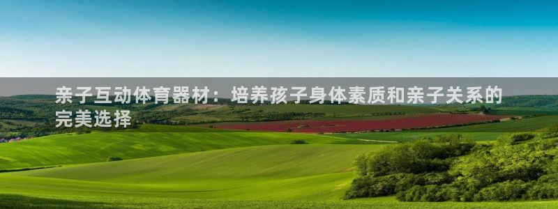 星欧娱乐最建议买的三个产品是：亲子互动体育器材：培养