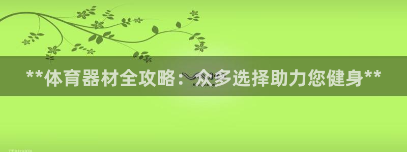 星奥娱乐集团股份有限公司招聘：**体育器材全攻略：众