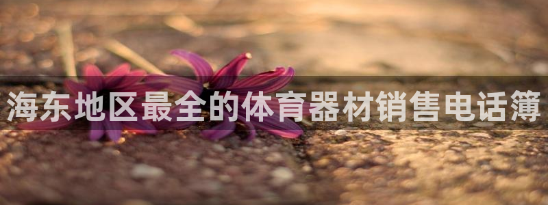 星欧娱乐测速软件下载：海东地区最全的体育器材销售电话
