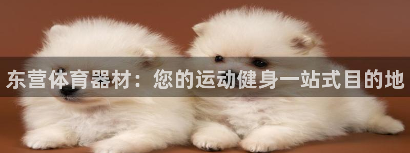 星欧娱乐官网