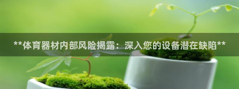 星奥娱乐集团股份有限公司怎么样：**体育器材内部风险