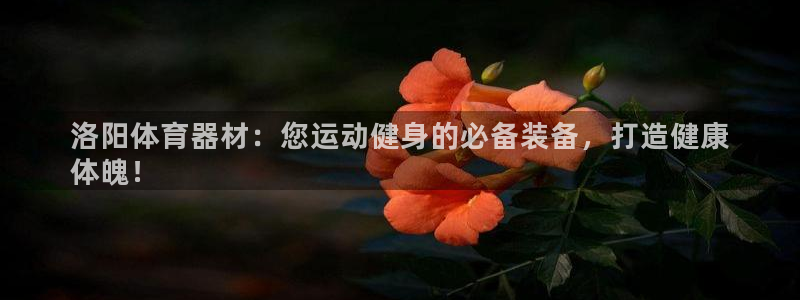 星欧娱乐方7O777：洛阳体育器材：您运动健身的必备