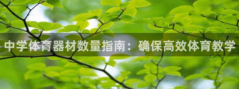星欧娱乐最建议买的三个产品是什么意思：中学体育器材数