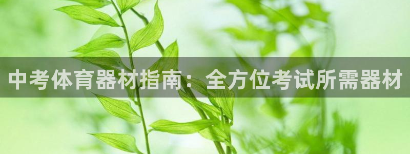 星欧娱乐是正规平台吗安全吗是真的吗：中考体育器材指南