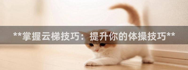 星欧娱乐的创始人背景故事简介：**掌握云梯技巧：提升