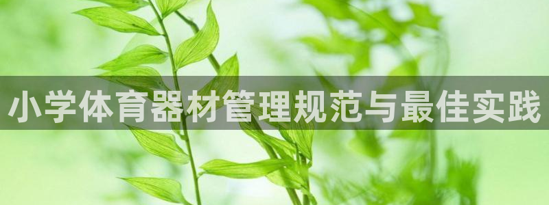 星欧娱乐彩票软件下载官网：小学体育器材管理规范与最佳