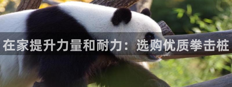 星欧娱乐扣款：在家提升力量和耐力：选购优质拳击桩