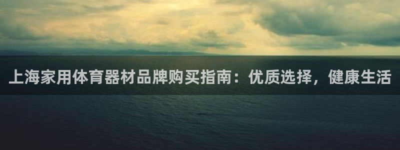 星欧娱乐扣款怎么回事：上海家用体育器材品牌购买指南：
