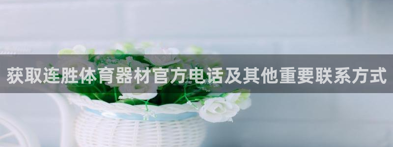星欧娱乐的官方版本更新内容是什么：获取连胜体育器材官
