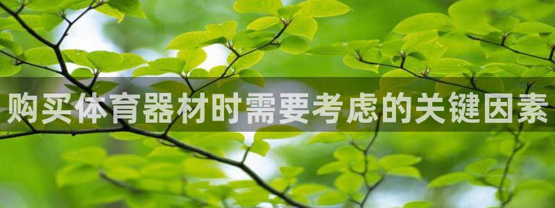 星欧娱乐官网首页入口：购买体育器材时需要考虑的关键因