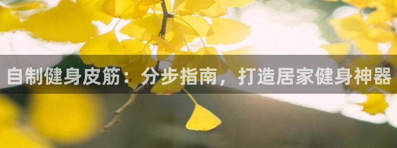 江苏星奥娱乐有限公司怎么样：自制健身皮筋：分步指南，
