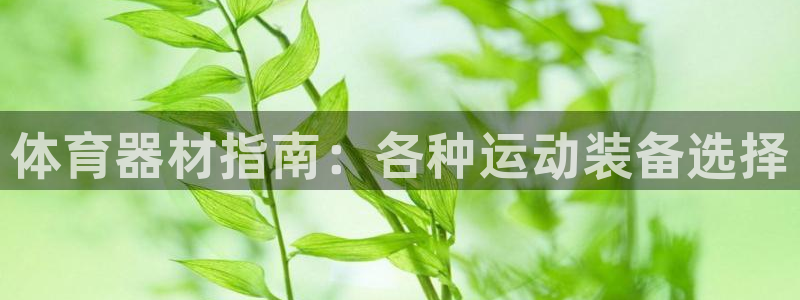 星娱乐文化传媒有限公司：体育器材指南：各种运动装备选