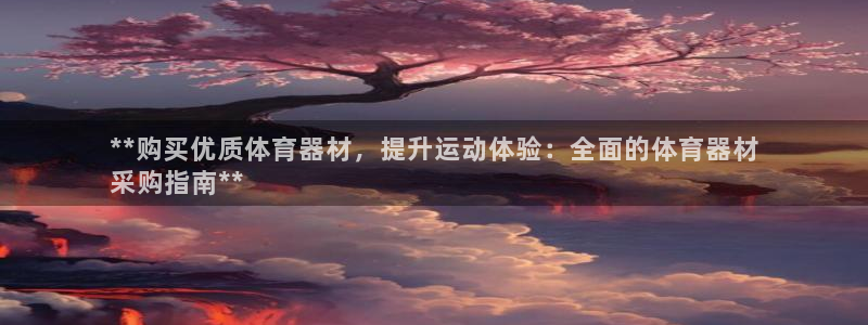 星欧娱乐扣款流程详解视频：**购买优质体育器材，提升