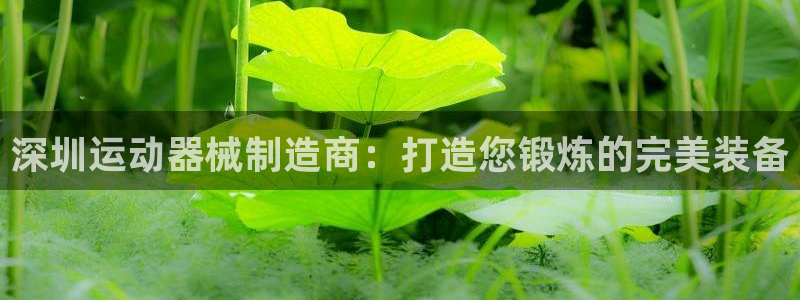 星欧娱乐游戏中心官网登录：深圳运动器械制造商：打造您