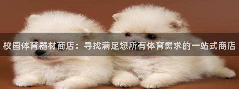 星奥娱乐怎么样：校园体育器材商店：寻找满足您所有体育