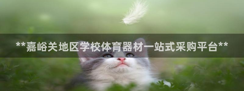 星欧娱乐平台怎么样啊安全吗：**嘉峪关地区学校体育器