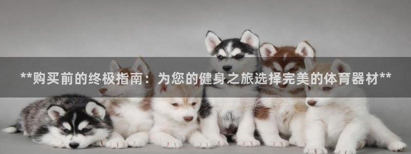 星欧娱乐扣款流程详解：**购买前的终极指南：为您的健