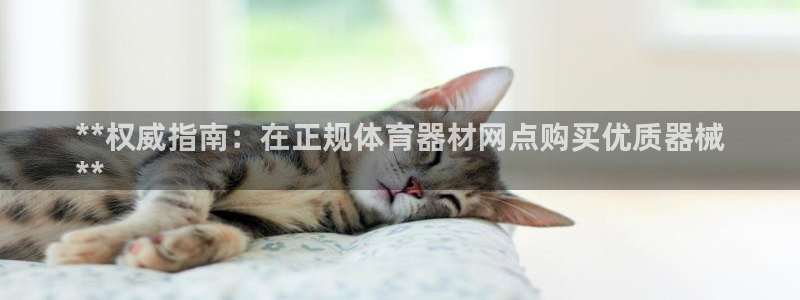 星澳娱乐公司地址：**权威指南：在正规体育器材网点购