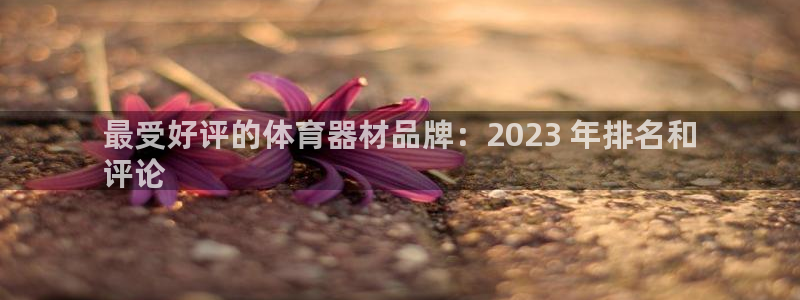 星欧娱乐联和哪个品牌合作：最受好评的体育器材品牌：2