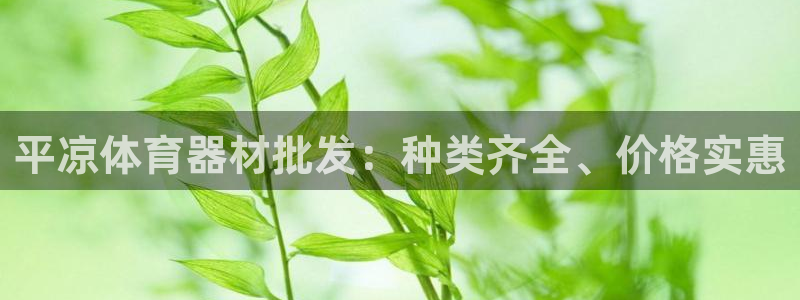 星娱乐online：平凉体育器材批发：种类齐全、价格