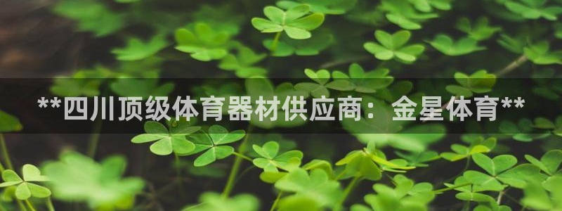 星欧娱乐公司创始人背景故事：**四川顶级体育器材供应