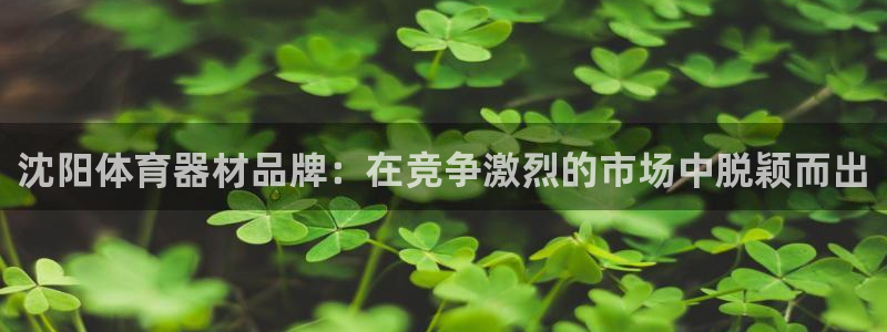 星欧娱乐最建议买的三个产品有哪些内容：沈阳体育器材品