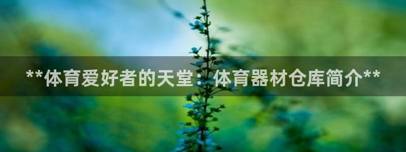 星欧娱乐最建议买的三个产品有哪些内容：**体育爱好者