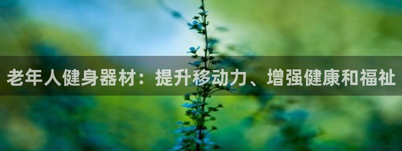 星欧娱乐平台怎么样：老年人健身器材：提升移动力、增强