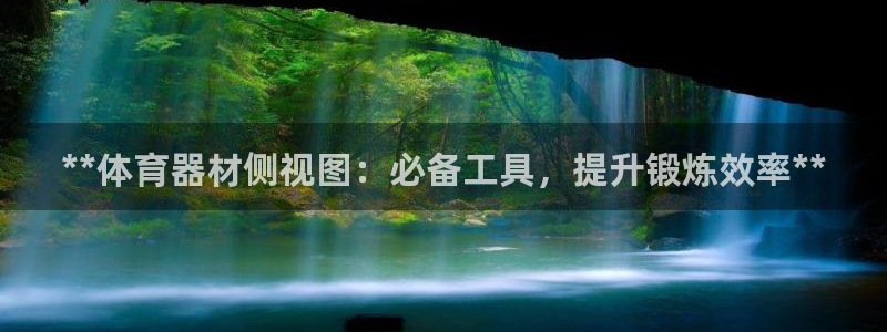 新星娱乐怎么开挂：**体育器材侧视图：必备工具，提升锻炼效率