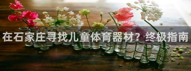 星欧娱乐最建议买的三个产品有哪些呢：在石家庄寻找儿童