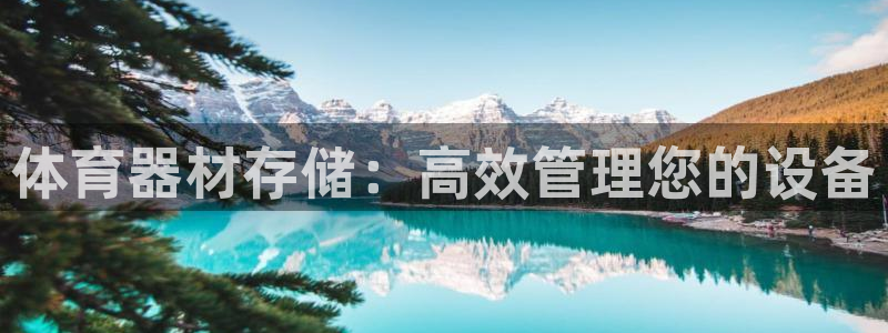 星娱乐包月是干嘛的：体育器材存储：高效管理您的设备