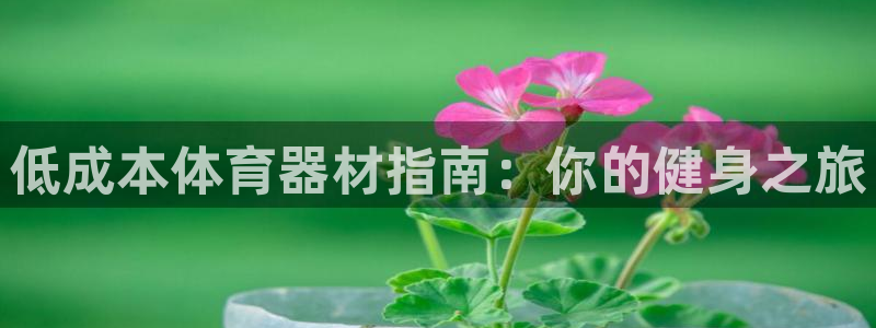 星欧娱乐：低成本体育器材指南：你的健身之旅