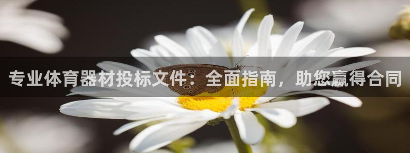 星欧娱乐平台都7O777：专业体育器材投标文件：全面指南，助