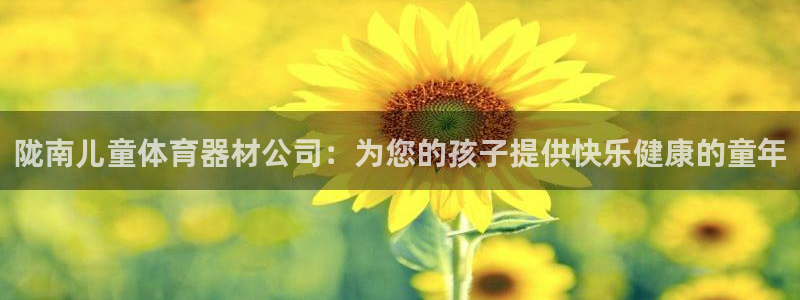 星奥娱乐艺人：陇南儿童体育器材公司：为您的孩子提供快乐健康的