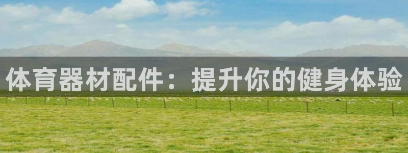 星欧娱乐扣款流程详解图高清：体育器材配件：提升你的健身体验