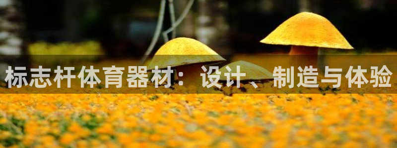 星欧娱乐24小时客服电话